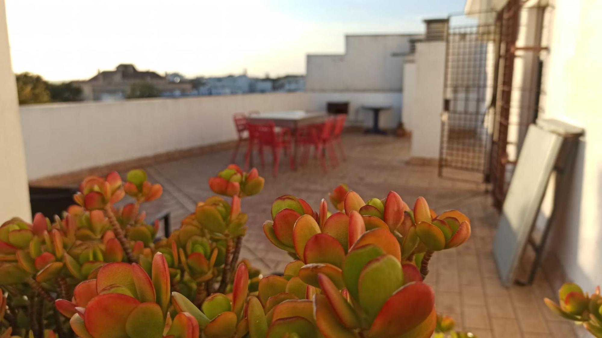 Atardeceres Surenos - Gran Terraza - Parking Jerez de la Frontera Dış mekan fotoğraf